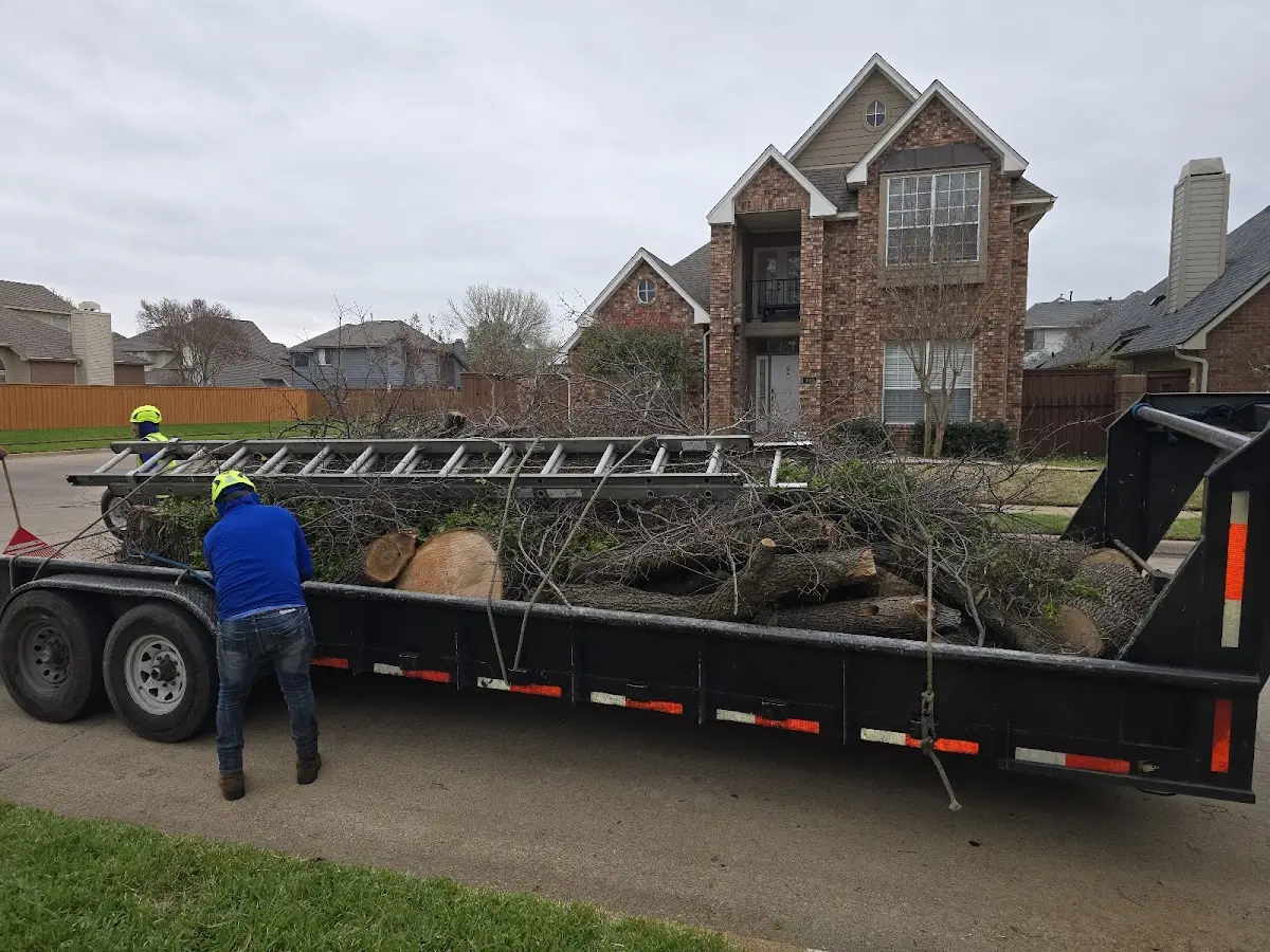 Expert Lot Clearing with proper safety equipment in Adin
